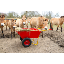 Stald- og fejekrre BU 2001 SP